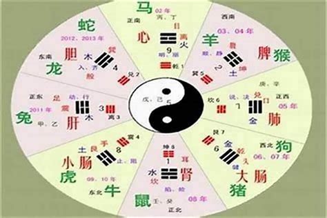 僖五行|琤字的五行属性